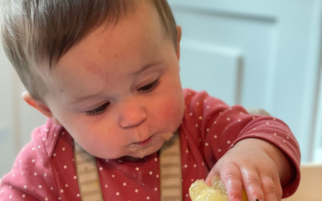 A Sensory-Motor Approach to Modified Baby-Led Weaning
