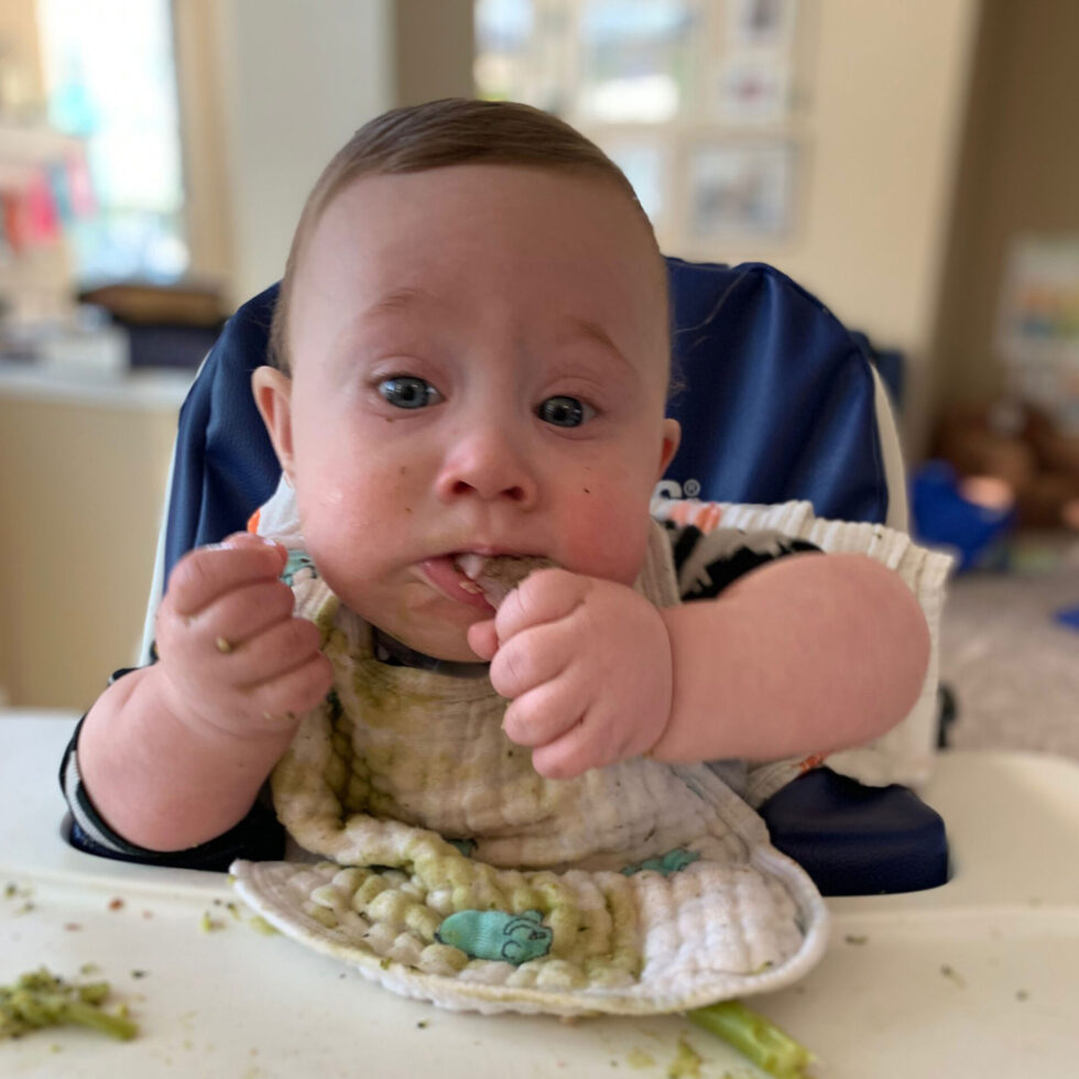 Adapted Baby-led Weaning 