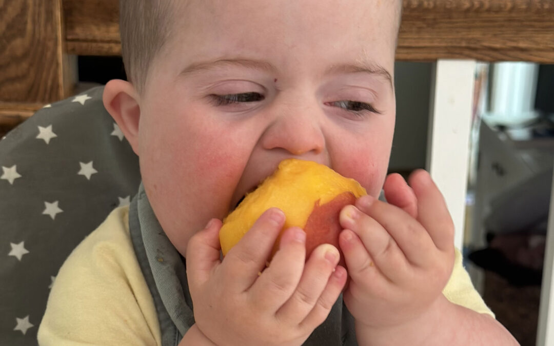 BLW Podcast: Episode 260 – Adapted Baby-Led Weaning for Feeding Challenges